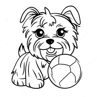 Sfhh Rng Amyzy Ywrkhy Bzygwsh B Twp 109801-46503