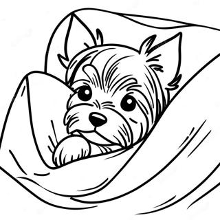 Sfhh Rng Amyzy Ywrkhy Dr Ykh Ptw Dnj 109803-46509