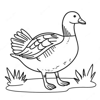 صفحه رنگ‌آمیزی غاز صفحات رنگ‌آمیزی