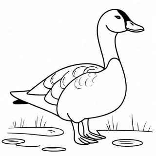 صفحه رنگ‌آمیزی غاز صفحات رنگ‌آمیزی