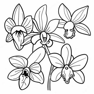 Sfhh Rng Amyzy Gwnh Hy Rkhydh Jyb 120555-55273