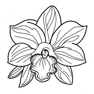 Sfhh Rng Amyzy Gwnh Hy Rkhydh Jyb 120555-55276