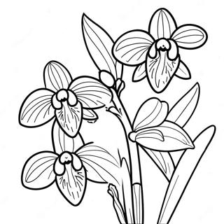 Sfhh Rng Amyzy Rkhydh Bnfsh Zndh 120556-55280