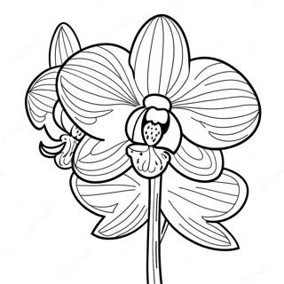 Sfhh Rng Amyzy Rkhydh Swrty Zryf 120557-55283