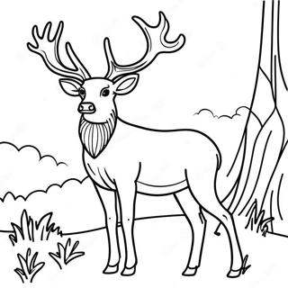 Sfhh Rng Amyzy Gwzn Bwqr Dr Hl Ystdn 18901 4131