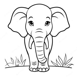 Sfhh Rng Amyzy Fyl Mlym 3095 1319