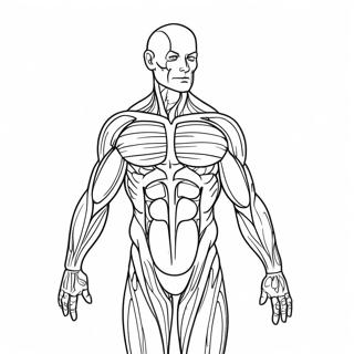 صفحه رنگ آمیزی آناتومی عضلات دقیق صفحات رنگ‌آمیزی