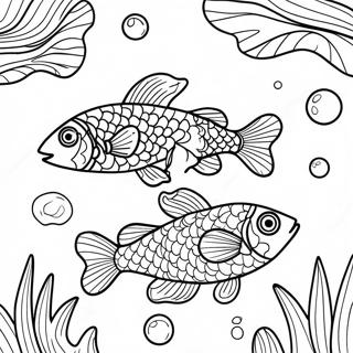 Sfhh Rng Amyzy Mhyhy Rngrng Brkhh 82111 23681