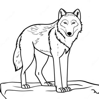 Sfhh Rng Amyzy Grg Qtby Bwqr 83345-24677