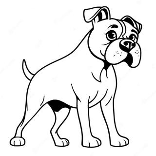 Sfhh Rng Amyzy Sg Bkhsr Bzygwsh 89704-29879